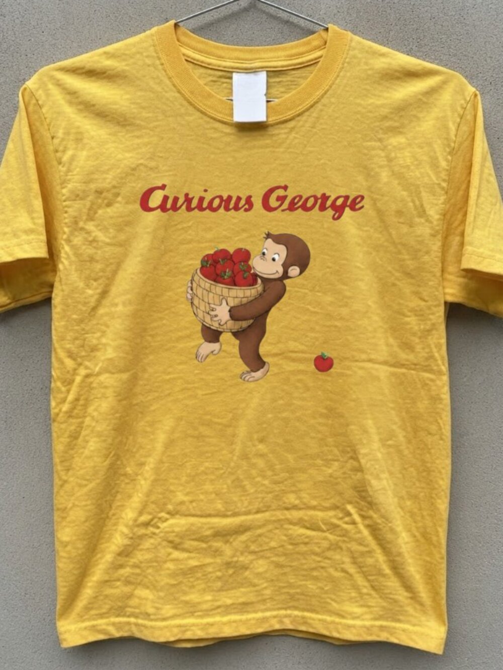 Gildan Daisy Curious George Carrying A Basket Of Fruit Graphic Tee